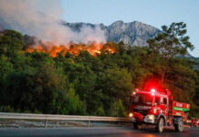 Antalya Kemer’deki orman yangınından trajik görüntüler! Yemyeşil doğa küle döndü. Antalya Kemer'deki orman yangınından trajik görüntüler! Yemyeşil doğa küle döndü.