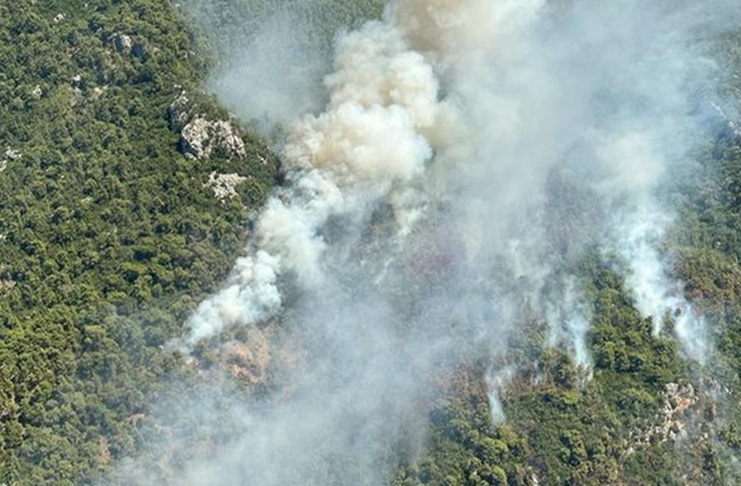 Antalya Kemer'deki orman yangınından trajik görüntüler! Yemyeşil doğa küle döndü.